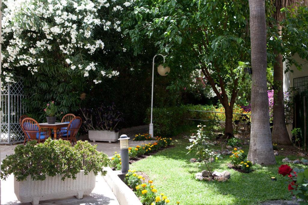 Central Park Palma
